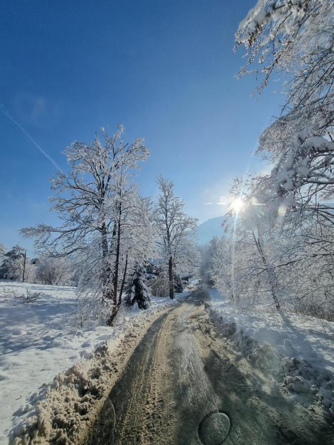 Karpielowka 77 Pokoje Goscinne Koscielisko Luaran gambar